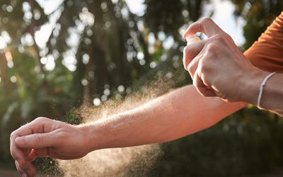 Dengue e zanzare: come proteggersi in Italia e all’estero