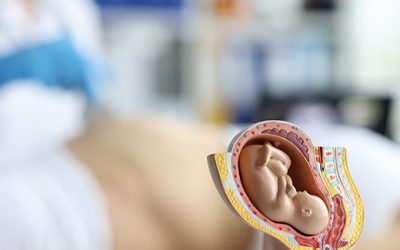 Spina bifida e idrocefalo: diagnosi precoce e possibilità di intervento