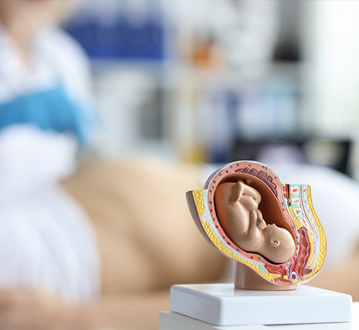 Spina bifida e idrocefalo: diagnosi precoce e possibilità di intervento